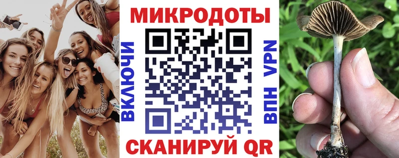 Псилоцибиновые грибы Psilocybine cubensis  Котово 